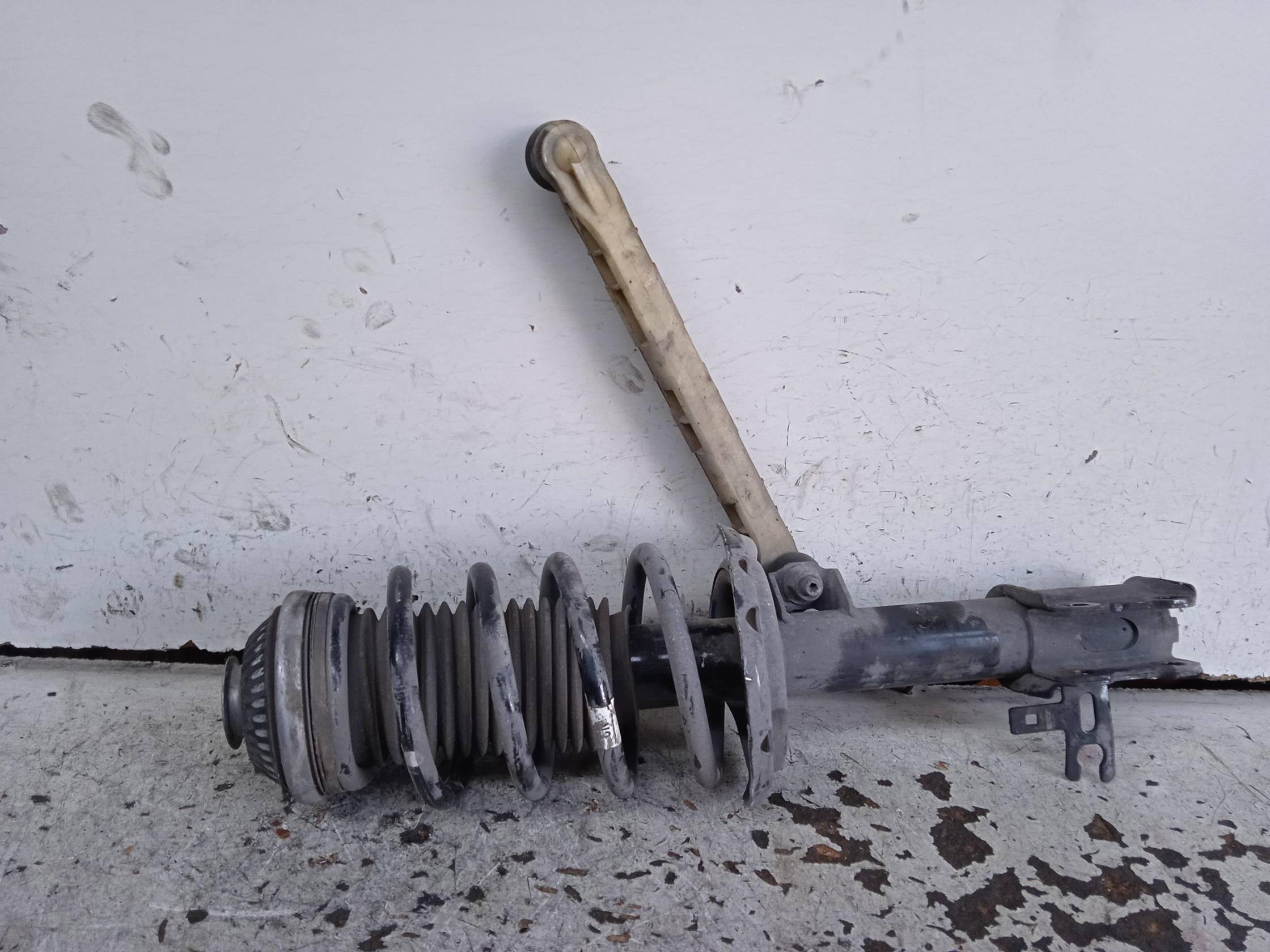 Ammortizzatore ant. sx.